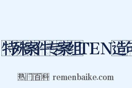 特殊案件专案组TEN造句是什么意思的图片